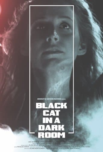 Black Cat in a Dark Room poster - Find streaming availability