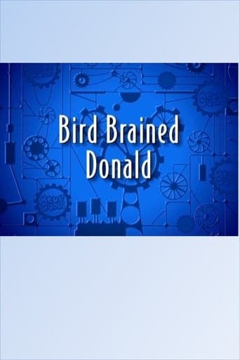 Bird Brained Donald poster - Find streaming availability