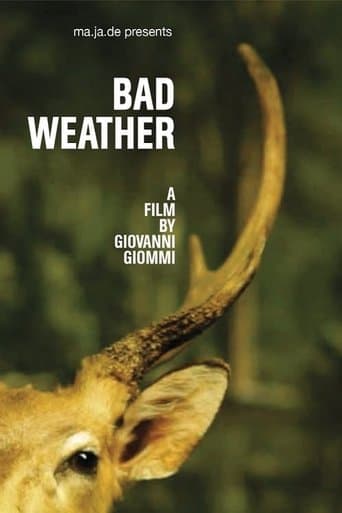 Bad Weather poster - Find streaming availability