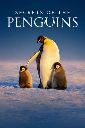 Secrets of the Penguins poster - Find streaming availability