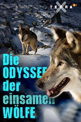 Die Odyssee der einsamen Wölfe poster - Find streaming availability