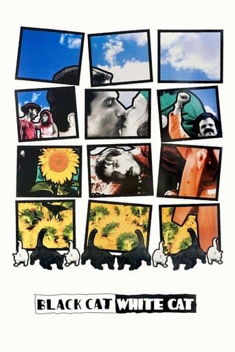 Black Cat, White Cat poster - Find streaming availability