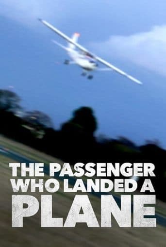 Mayday: The Passenger Who Landed a Plane poster - Find streaming availability