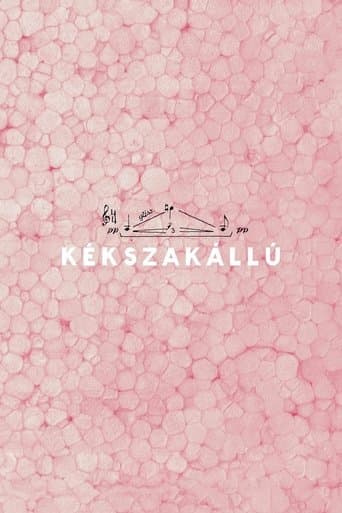 Kékszakállú poster - Find streaming availability