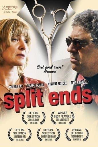 Split Ends poster - Find streaming availability