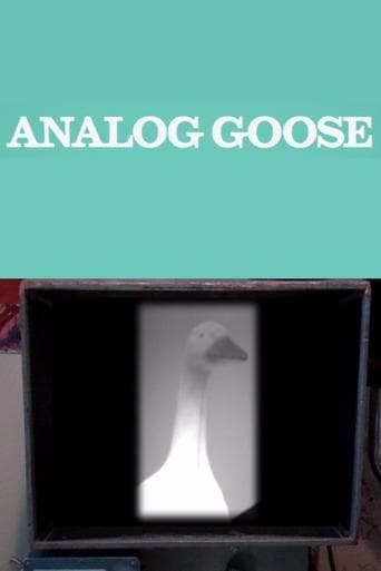 Analog Goose poster - Find streaming availability