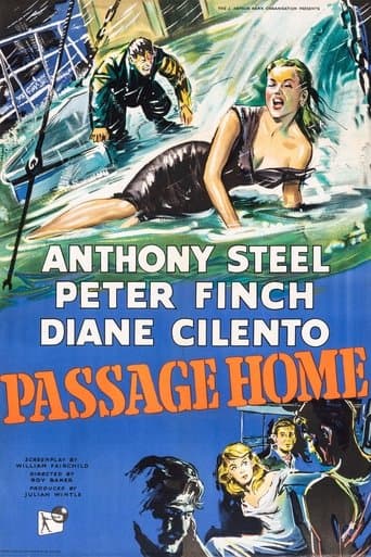 Passage Home poster - Find streaming availability