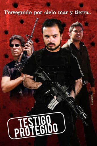 Testigo protegido poster - Find streaming availability