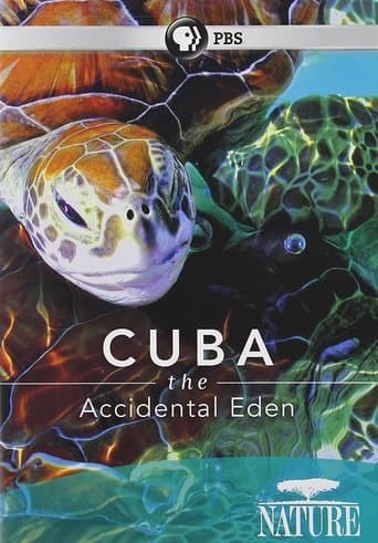 Cuba: The Accidental Eden poster - Find streaming availability