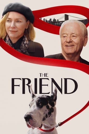 The Friend poster - Find streaming availability