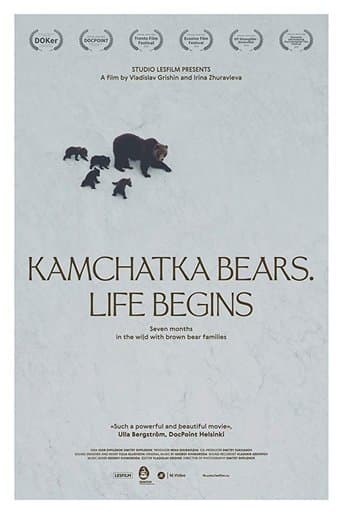 Kamchatka Bears. Life Begins poster - Find streaming availability