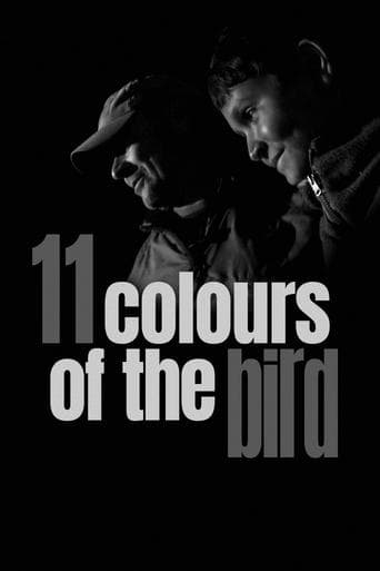 11 Colours of the Bird poster - Find streaming availability