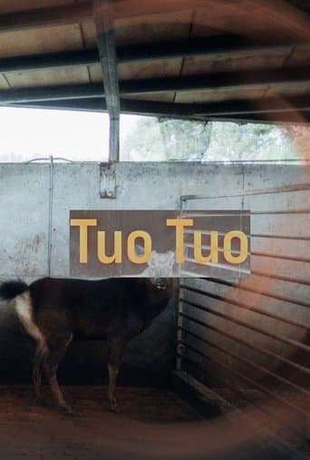 Tuo Tuo poster - Find streaming availability