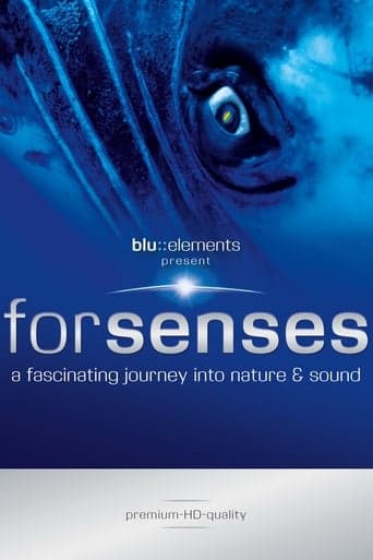 Forsenses - A Fascinating Journey into Nature & Sound poster - Find streaming availability