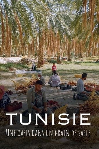 Tunisie : Une oasis dans un grain de sable poster - Find streaming availability