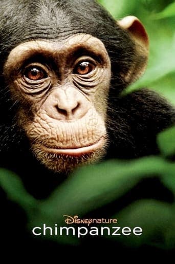 Chimpanzee poster - Find streaming availability