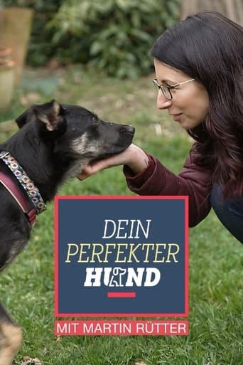 Dein perfekter Hund poster - Find streaming availability
