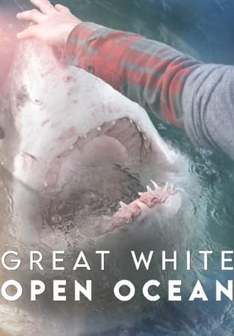 Great White Open Ocean