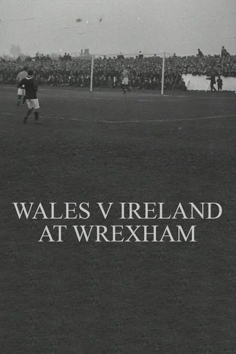 Wales v. Ireland at Wrexham