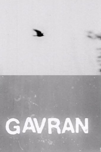 The Raven