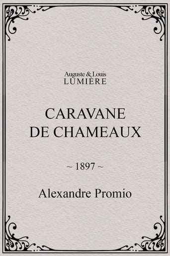 Caravane de chameaux