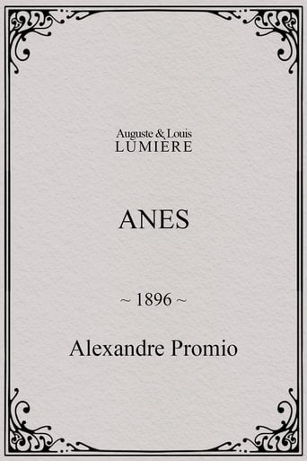 Anes